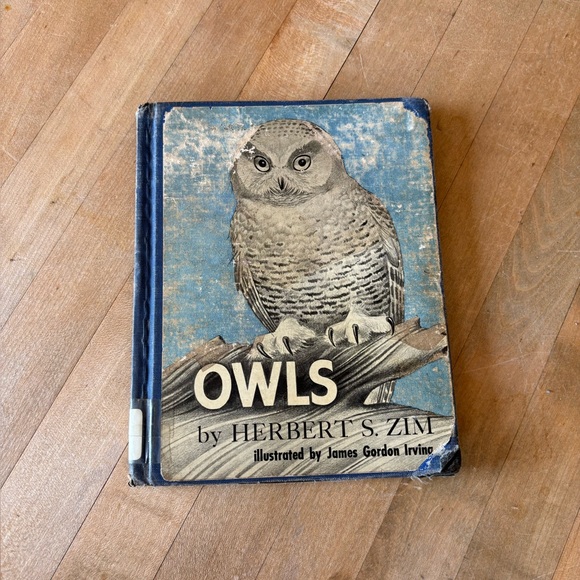 vintage Other - Vintage 60’s Owl Book